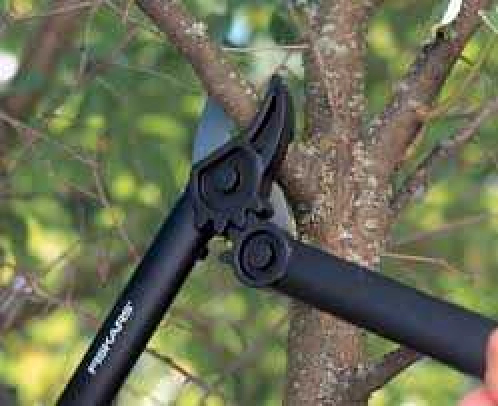 FISKARS Makaze za grane 387mm L31 (S) (112170) - Slika 4