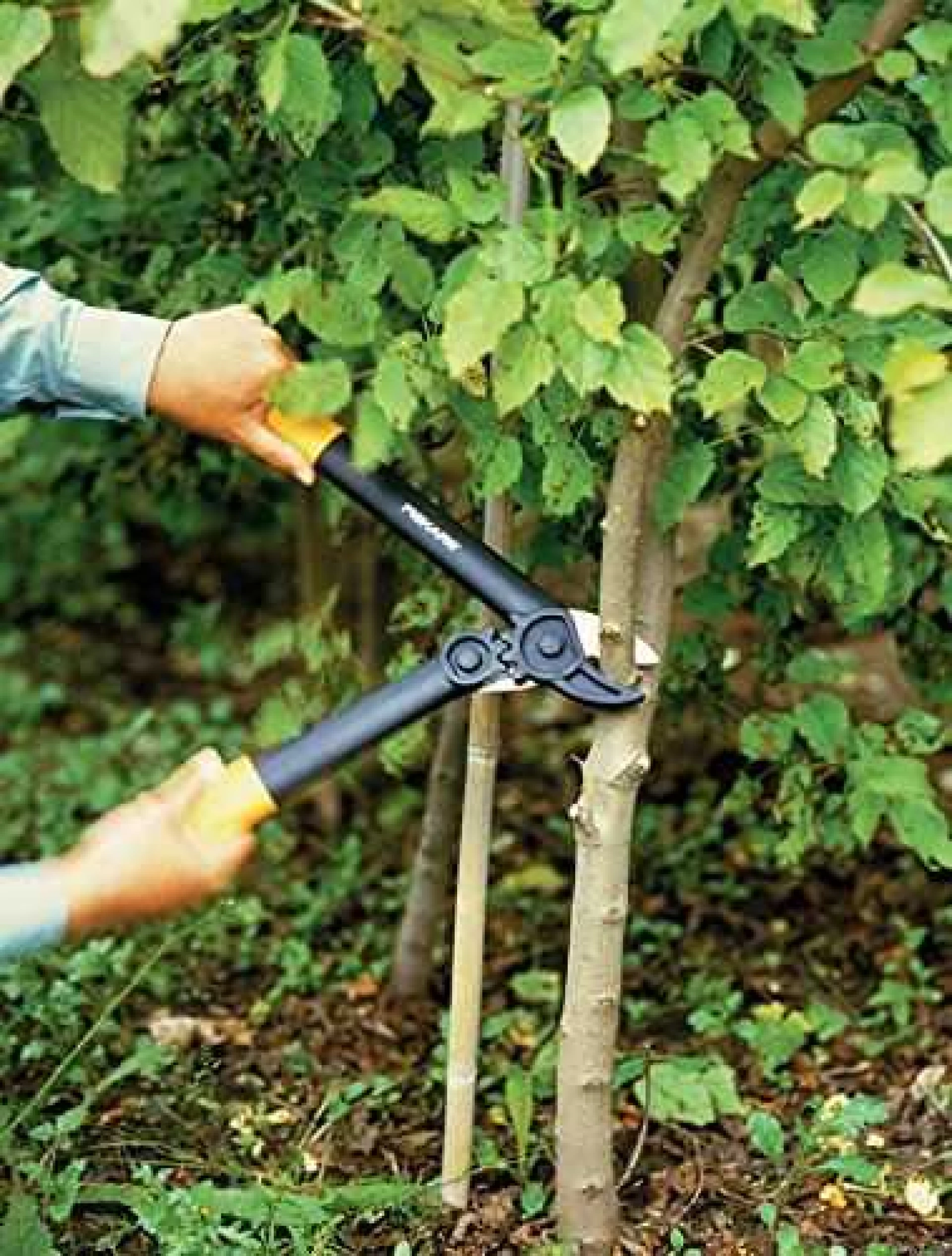 FISKARS Makaze za grane 387mm L31 (S) (112170) - Slika 5
