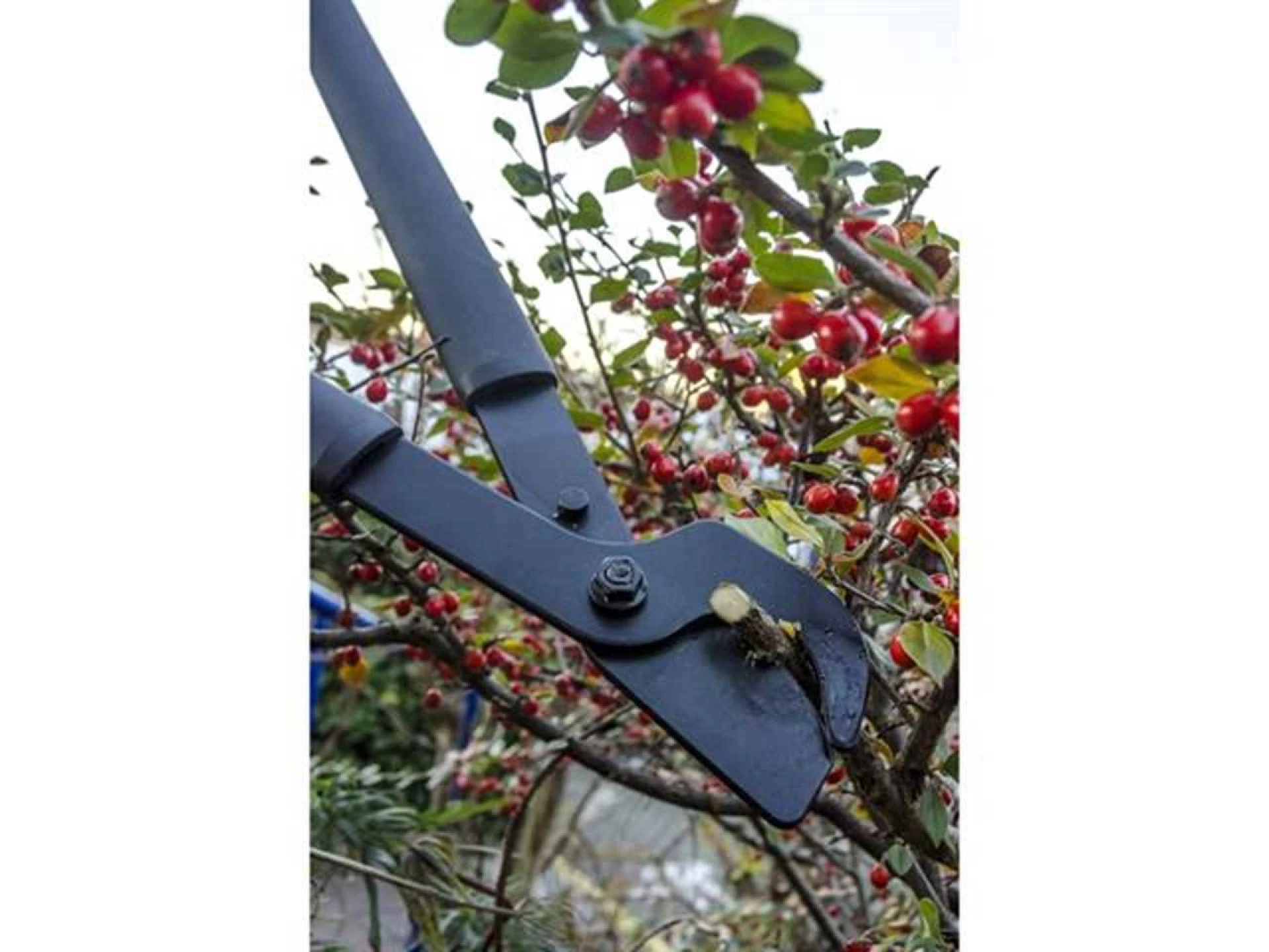 FISKARS Makaze za grane - ravna oštrica L38 (L) 1001426  - Slika 4