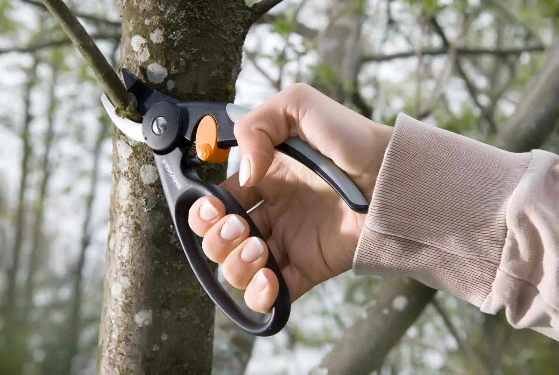 FISKARS Makaze za orezivanje - voćarske 1001534 (111440) - Slika 4