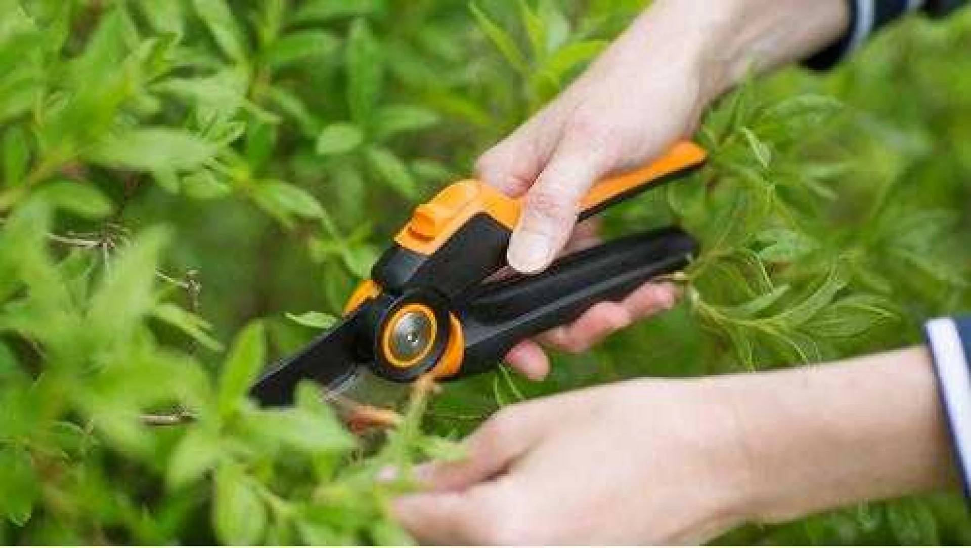 FISKARS Makaze za orezivanje vocarske PX 92 - Slika 5