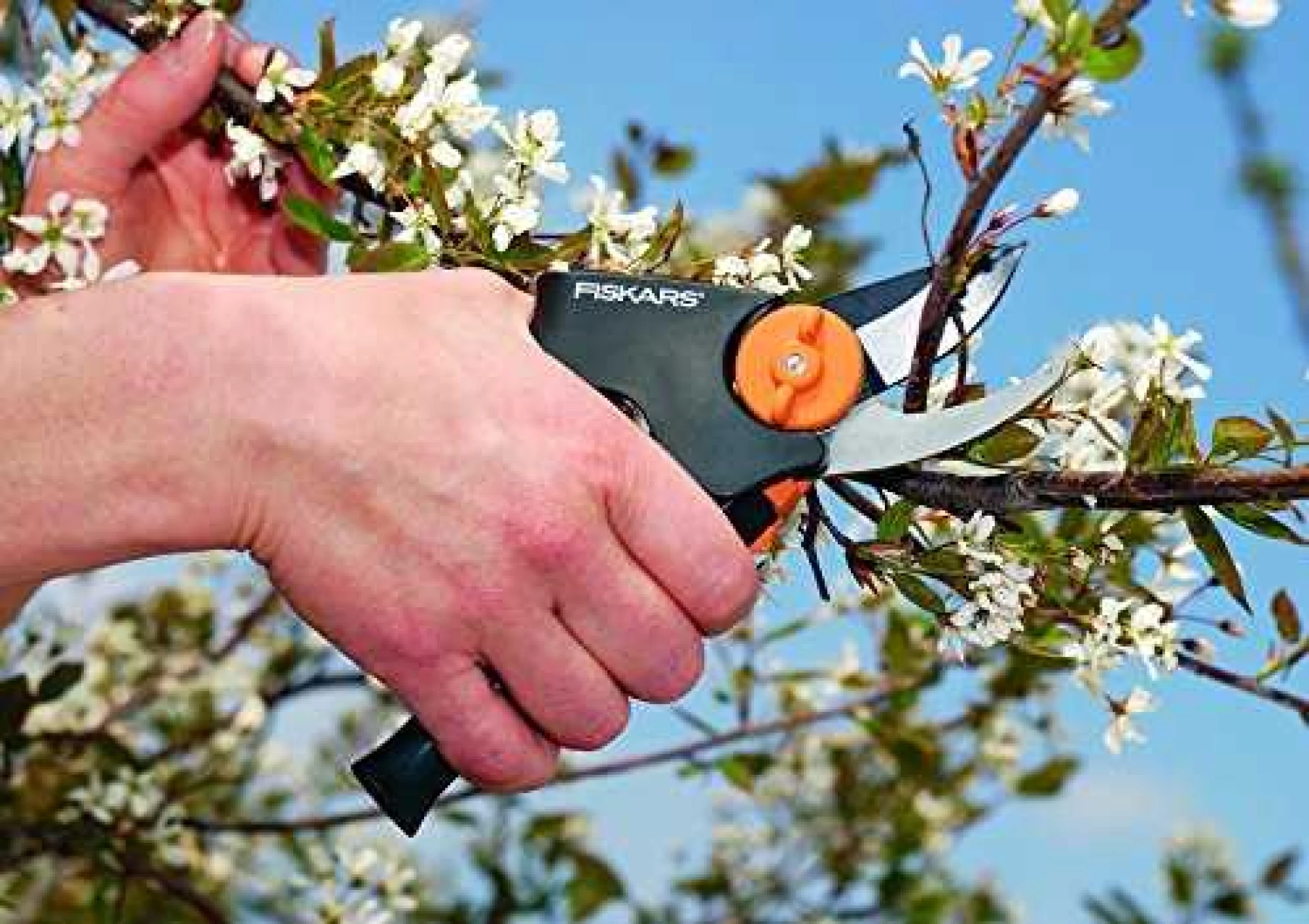 FISKARS Makaze za orezivanje vocarske PX 92 - Slika 6